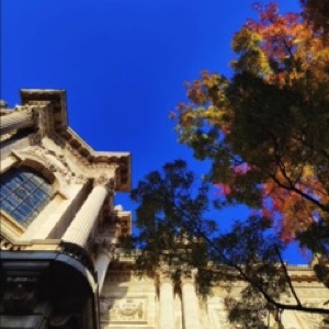 Du ciel bleu à Lille (‼️) = couleurs d'automne sur l'architecture, les arbres et @mai_lv
